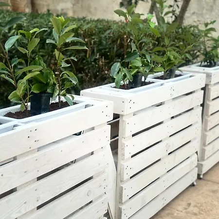 Casa Malupo アパート